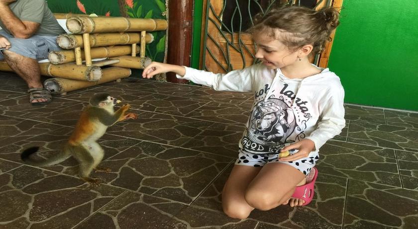 Jungle Villa Resort, Chitwan - 3