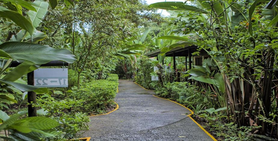 Pachira Lodge, Tortuguero - 6
