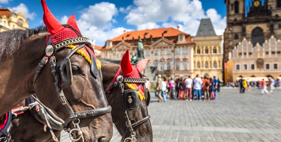 4 Nights Best of Central Europe: Prague and Vienna - 3