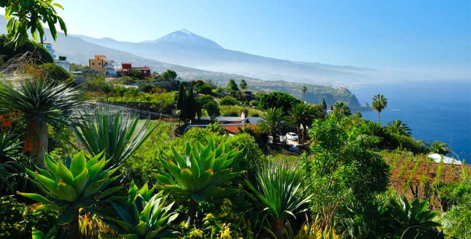 7 Night All Inclusive Tenerife Holiday With 4 Star Stay - 13