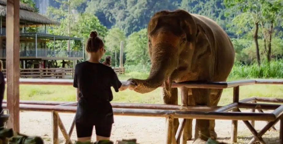 Elephant Hills Thailand - 8