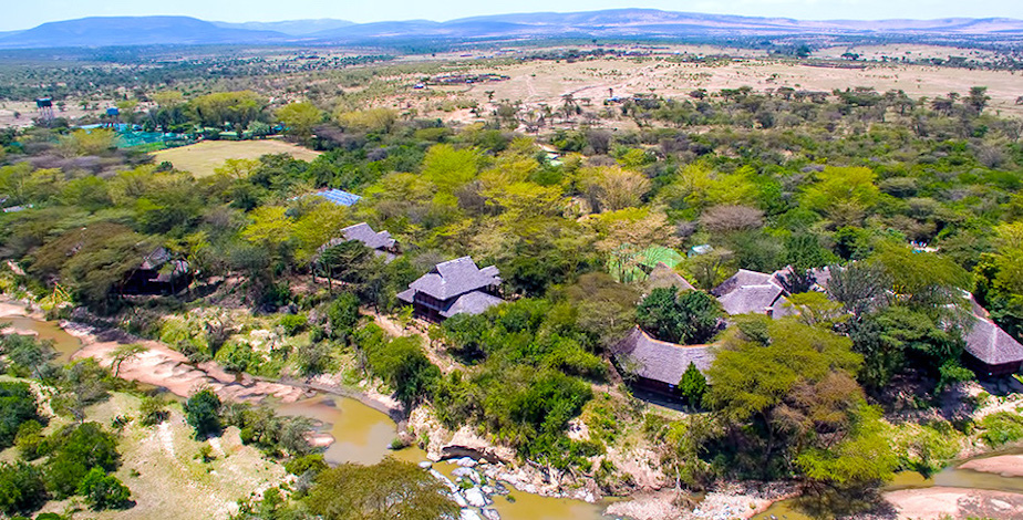 Mara Simba Lodge - 2