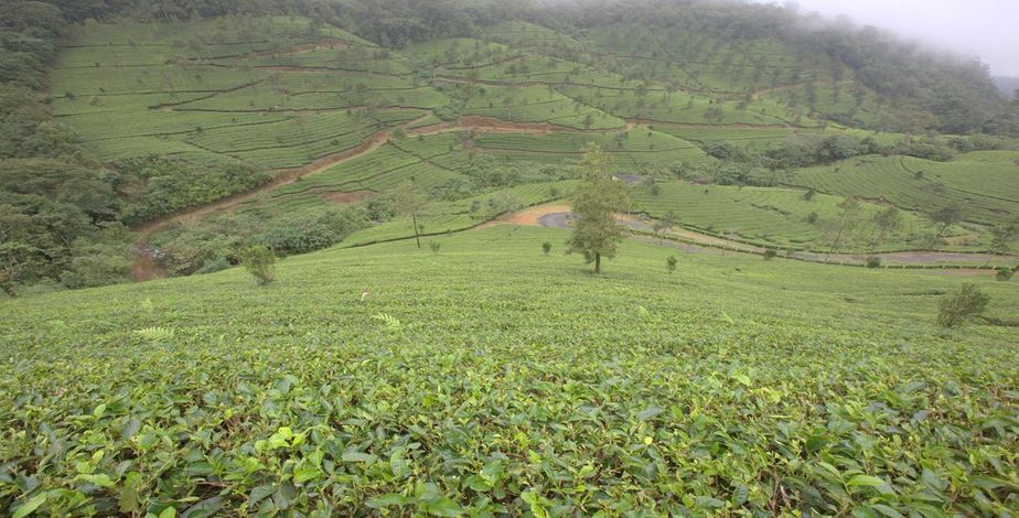 Hotel Grand Plaza - 2