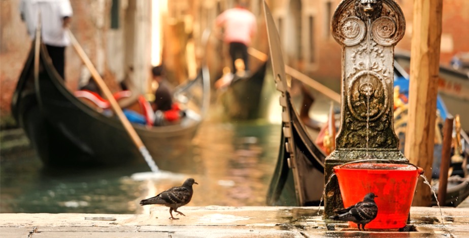 Whisk Yourself Away To The Floating Paradise Of Venice - 10