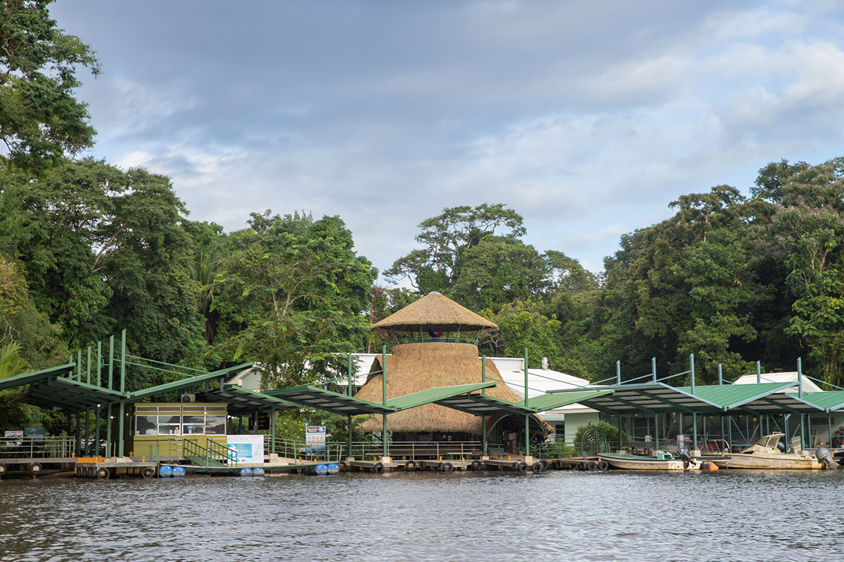 Pachira Lodge, Tortuguero - 11