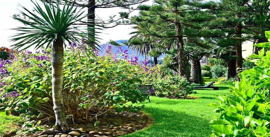 All Inclusive Week In Madeira - 14
