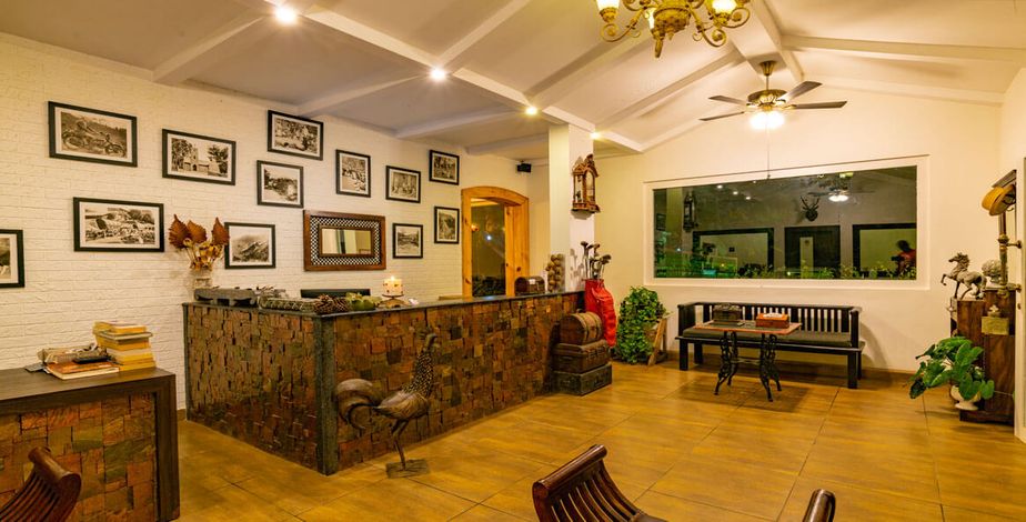 Tea Harvester, Munnar - 7