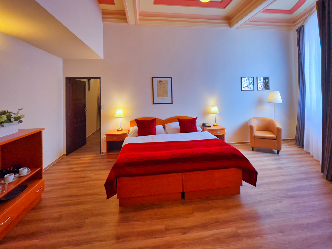 Ariston & Ariston Patio Hotel Prague - 5