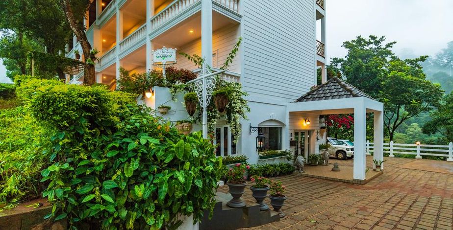 Tea Harvester, Munnar - 6