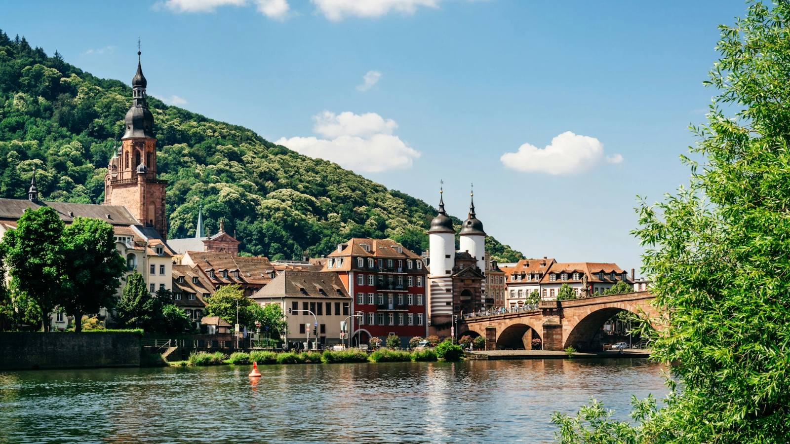 Southern Rhine Nature Experience