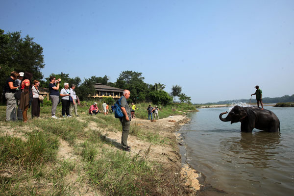 Jungle Villa Resort, Chitwan - 9