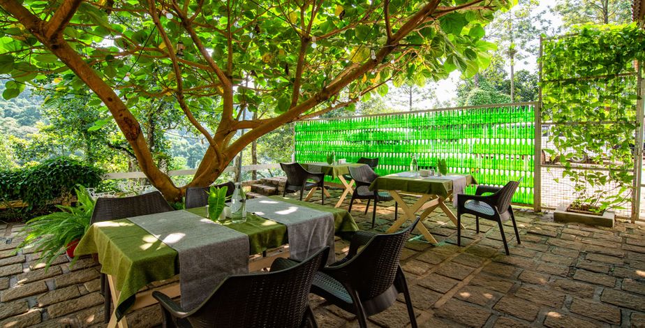 Tea Harvester, Munnar - 10