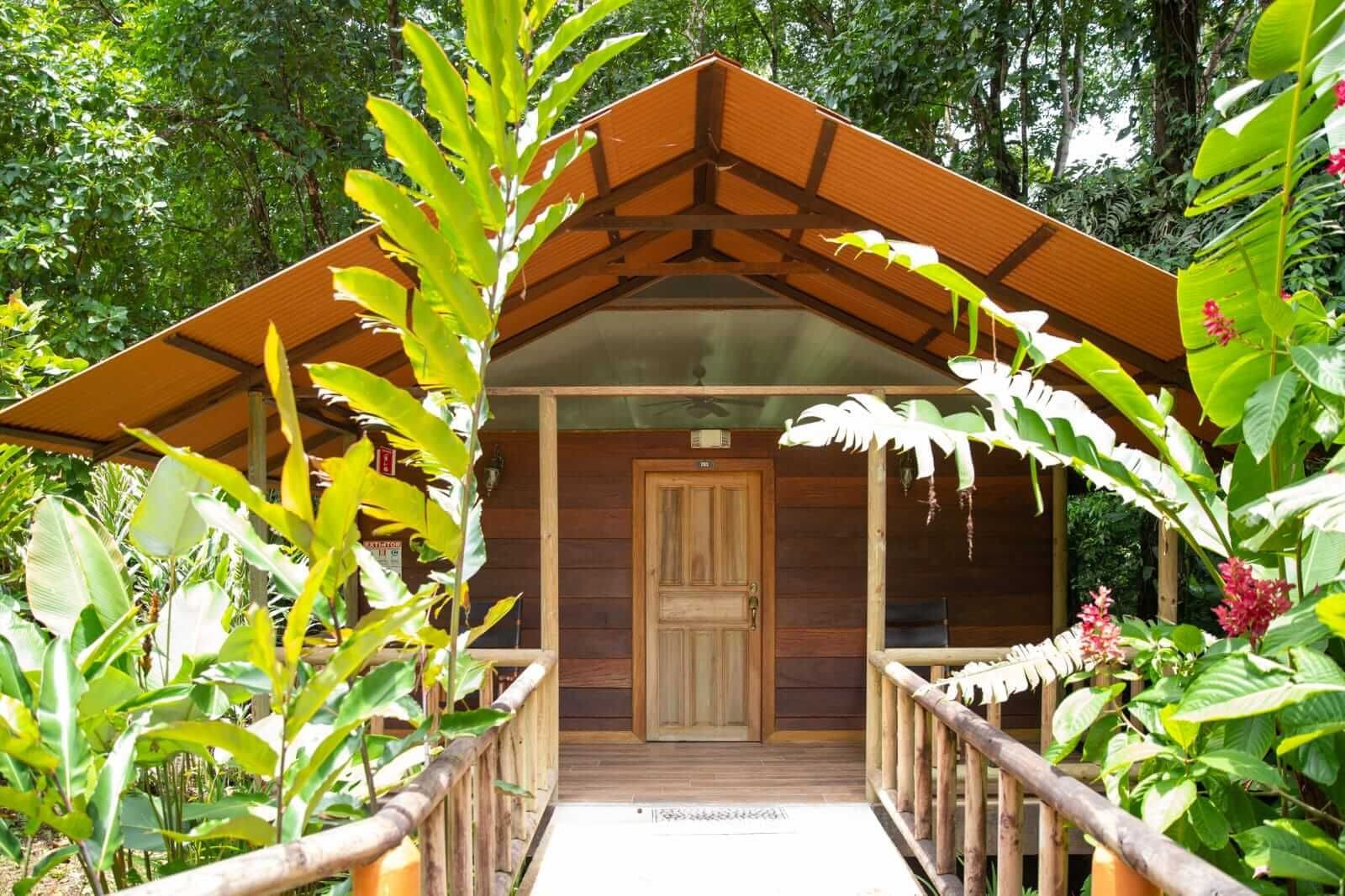 Pachira Lodge, Tortuguero - 14