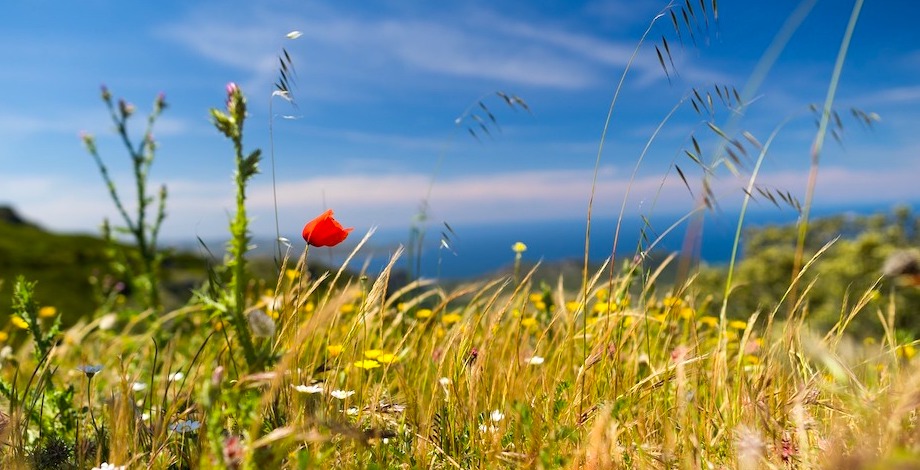 A Half Board Stay In Sardinia With Flights - 1