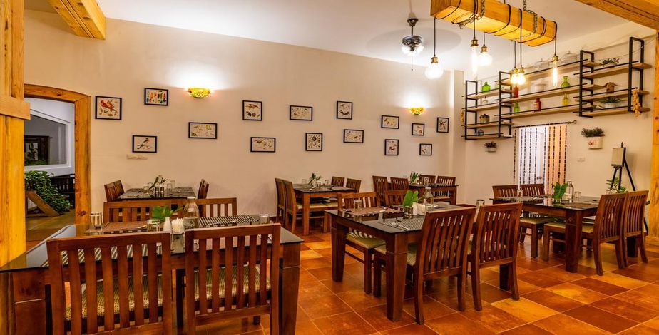 Tea Harvester, Munnar - 5