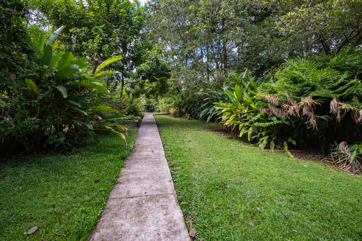 Hotel Faro Arenal - 6