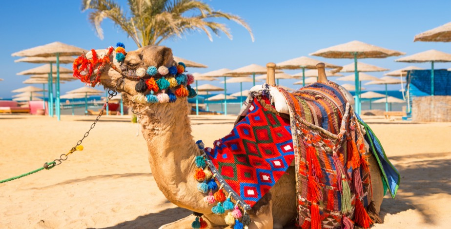 Luxury All Inclusive Hurghada Stay - 11